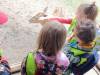 IMG_20260610_094908-Copy