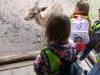 IMG_20260610_094916-Copy