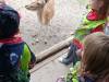 IMG_20260610_094924-Copy