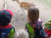 IMG_20260610_094928-Copy