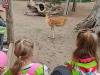 IMG_20260610_095028-Copy