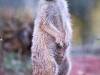 IMG_20260610_095239-Copy