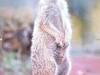 IMG_20260610_095315-Copy