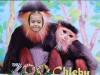IMG_20260610_095416-Copy
