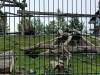 IMG_20260610_095538-Copy