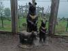 IMG_20260610_095844-Copy