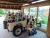 IMG_20260610_101756-Copy