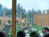 IMG_20260610_101809-Copy