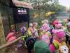 IMG_20260610_102245-Copy