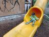 IMG_20260610_102452-Copy