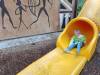 IMG_20260610_102502-Copy