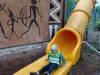 IMG_20260610_102531-Copy