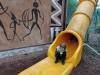 IMG_20260610_102549-Copy