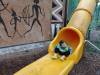IMG_20260610_102553-Copy
