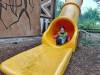 IMG_20260610_102646-Copy