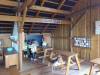 IMG_20260610_103423-Copy