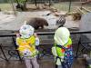 IMG_20260610_104227-Copy