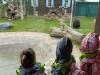 IMG_20260610_104536-Copy