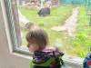 IMG_20260610_104544-Copy