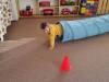 20220325_083501-Copy