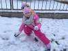 IMG_3794-Copy