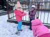 IMG_3803-Copy