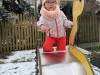 IMG_3980-Copy