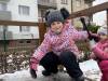 IMG_3992-Copy