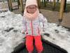 IMG_3996-Copy