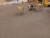 IMG_20220622_085642