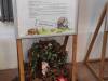 IMG_20250206_090740