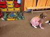 IMG_20231012_084203