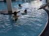 IMG_20250422_095655