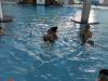 IMG_20250422_095758