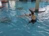 IMG_20250422_095847