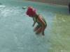 IMG_20250401_101912