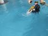 IMG_20250408_101336