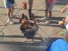 IMG_20250619_190525