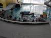 IMG_20250318_094901