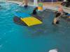 IMG_20250318_101714