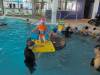 IMG_20250318_101855