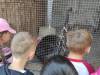 IMG_20250610_093811