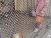 IMG_20250610_094205