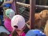 IMG_20250610_100509