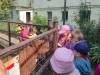 IMG_20250610_100614