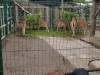 IMG-20260610-WA0088-Copy