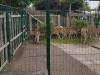 IMG-20260610-WA0089-Copy