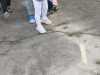 IMG-20250529-WA0064