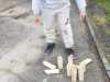 IMG-20250529-WA0065
