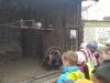 IMG_20250526_082632